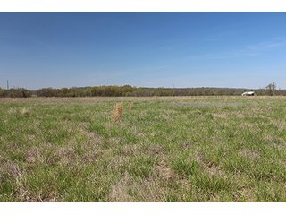 Tract 21 - LAND & MINERAL ACRES OKLAHOMA AUCTION, 588+/- Land & Producing Mineral Acres offered in 24 Tracts in Okmulgee County